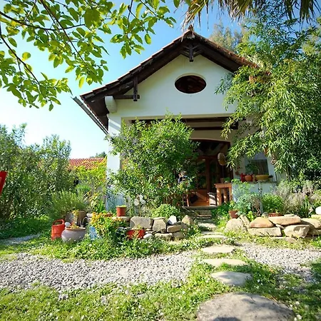 Vila Blue Dream Seaside With Superb Sea Views Kími